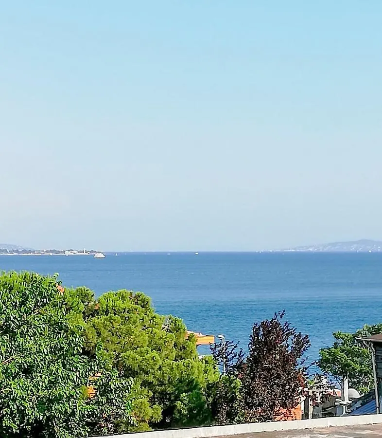 Violin Hotel Sultanahmet 伊斯坦布尔