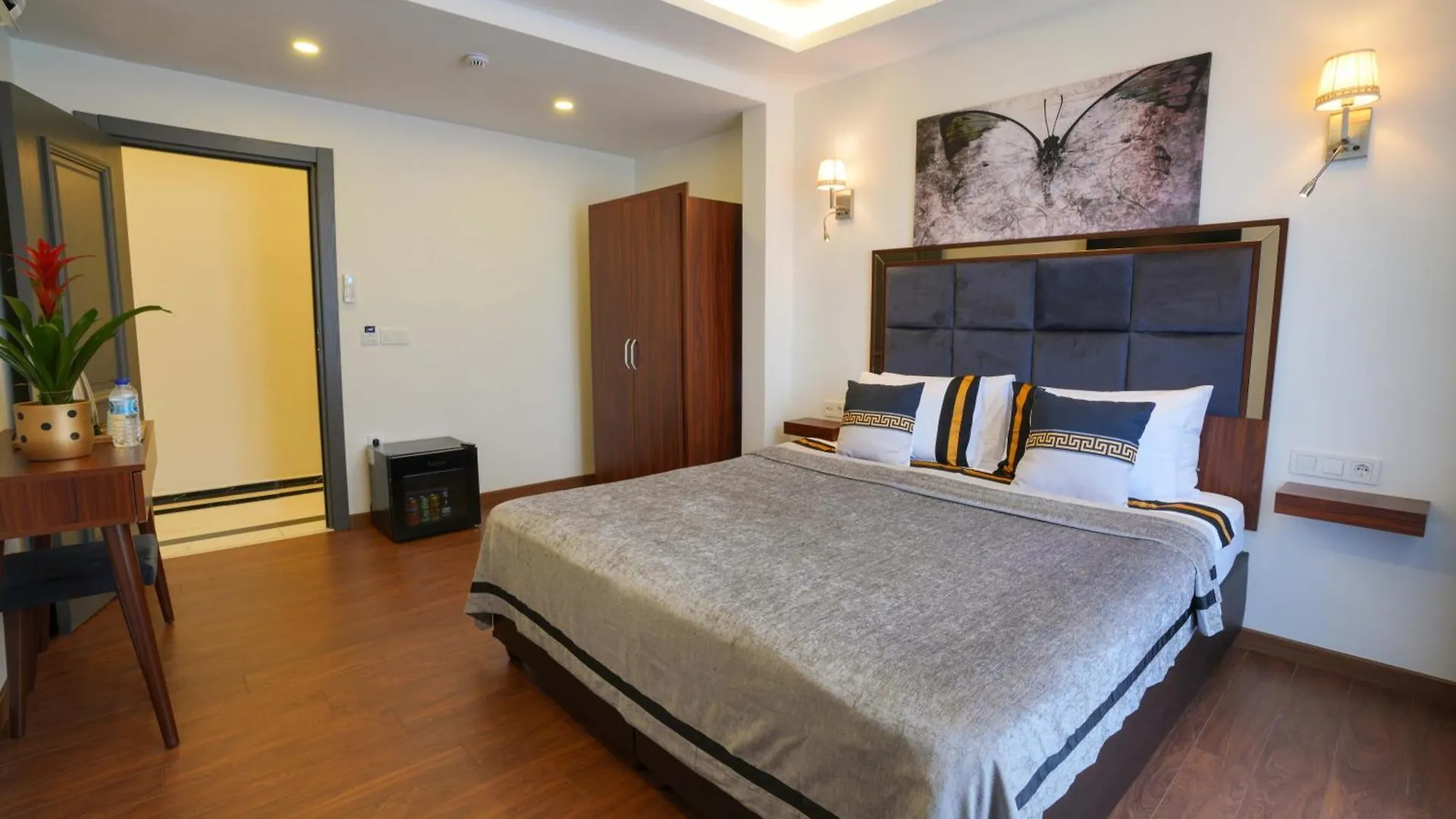 Violin Hotel Sultanahmet 伊斯坦布尔