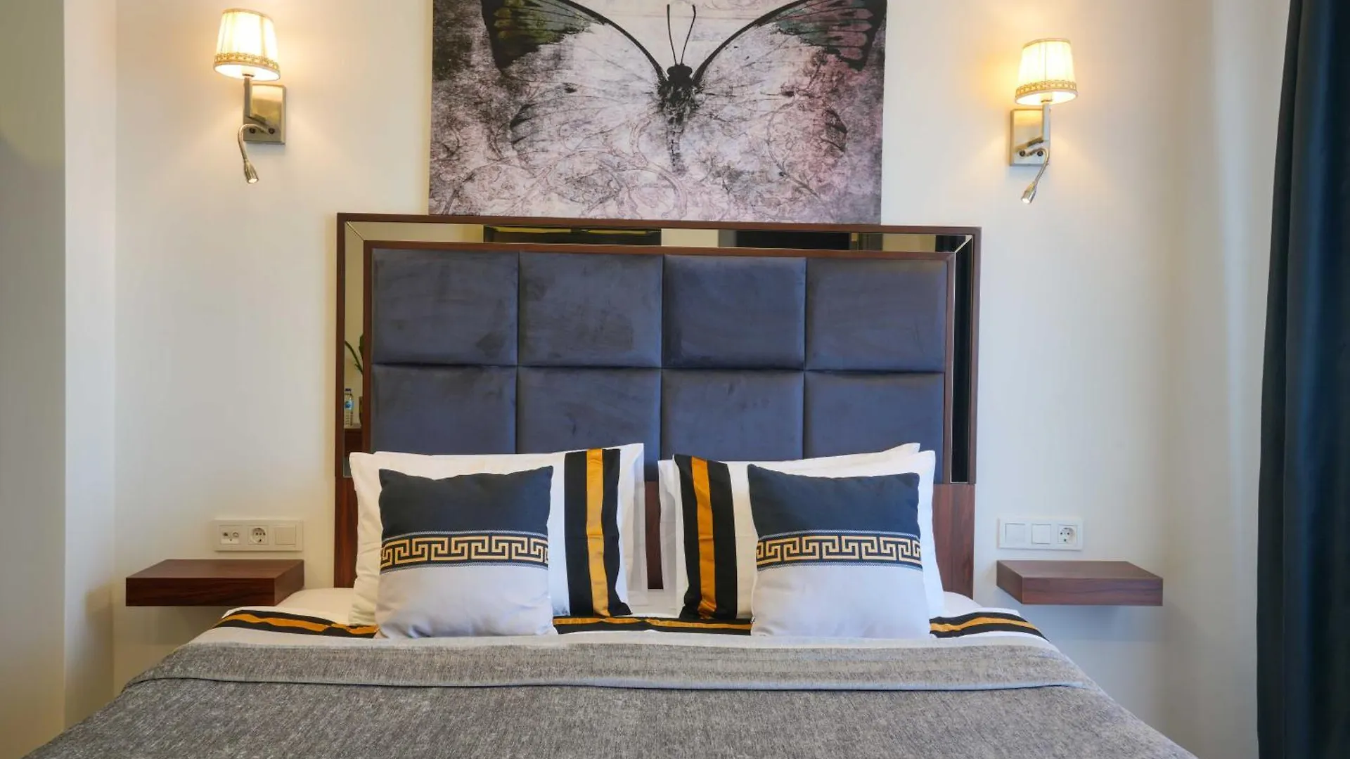 Violin Hotel Sultanahmet 伊斯坦布尔