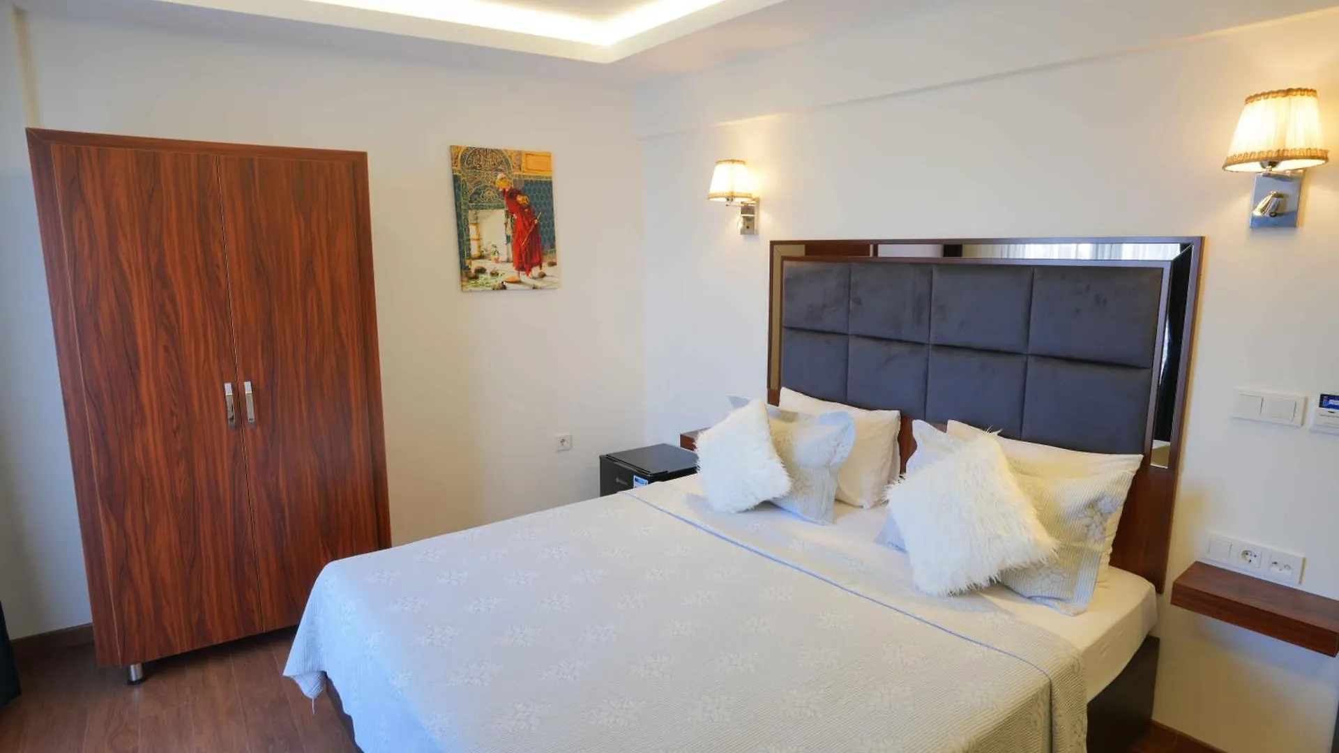 Violin Hotel Sultanahmet 伊斯坦布尔