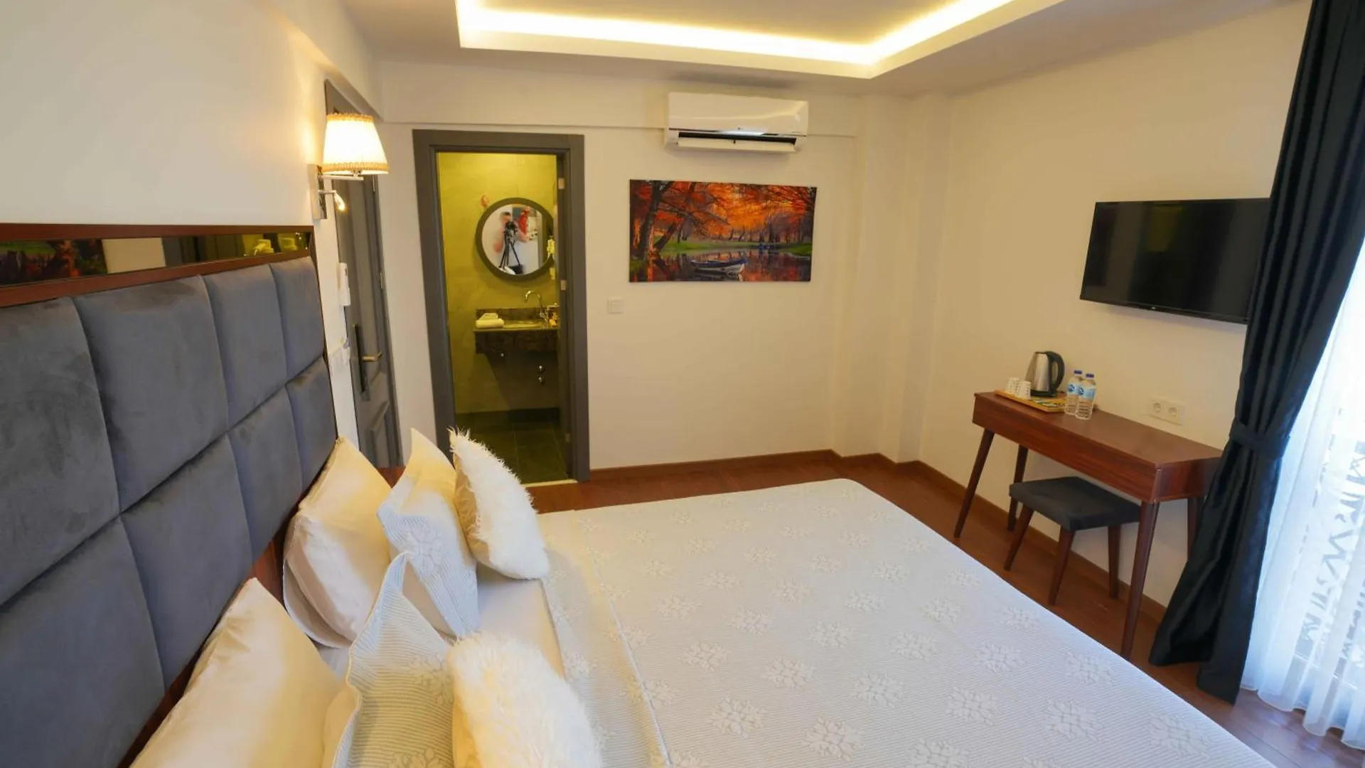 Violin Hotel Sultanahmet 伊斯坦布尔 0*,