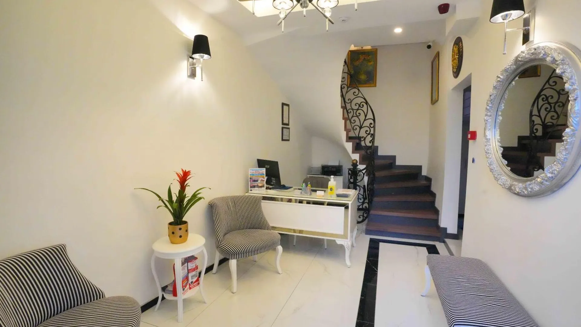 Violin Hotel Sultanahmet 伊斯坦布尔 土耳其