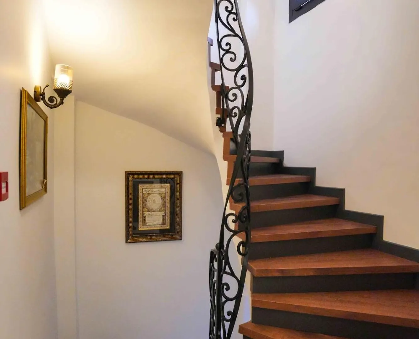 Violin Hotel Sultanahmet 伊斯坦布尔